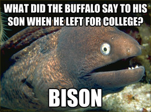 bad joke - bison